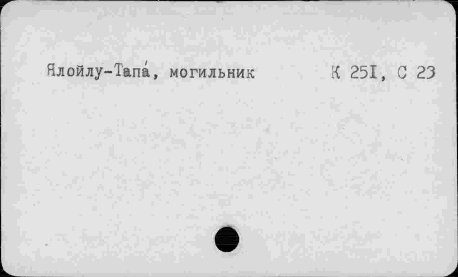 ﻿Ялойлу-Тапа, могильник
К 251, С 23